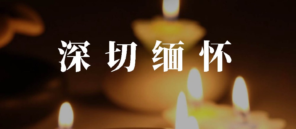 中國書法家協(xié)會名譽(yù)主席沈鵬先生在北京逝世，享年92歲