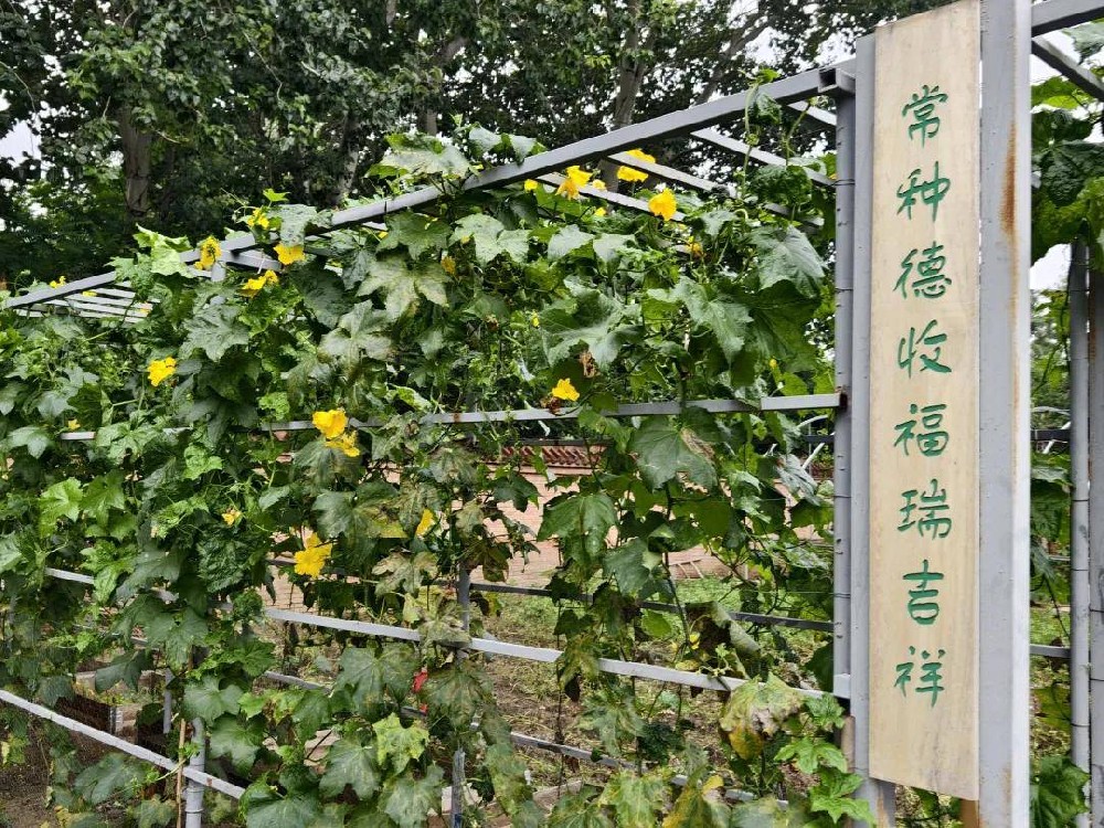 細說秋分，禮贊豐收|二十四節(jié)氣公益活動之秋分招募令