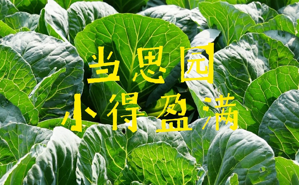 「當思園」里尋小滿