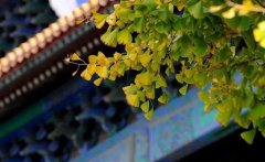 馮友蘭：人在道德方面如何能善