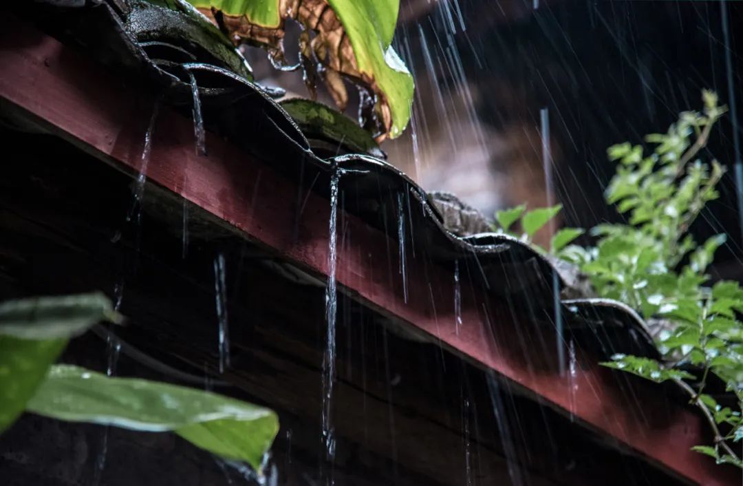 二十四節(jié)氣·雨水：感念雨之德，當(dāng)若水之善